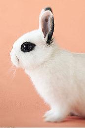 统计显示PS5玩家更喜欢在零售店中选购盒装游戏